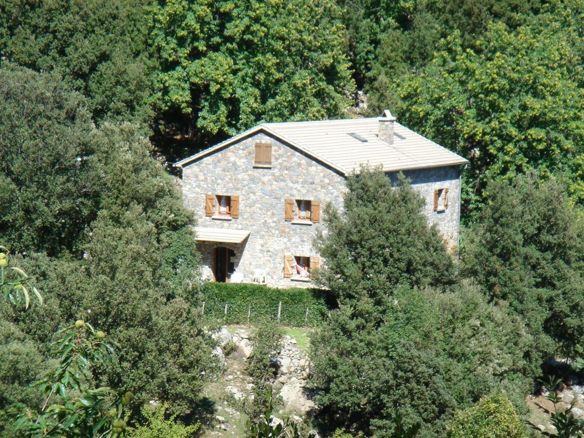 Chambre D'Hote "Chez Antoinette Et Charles" Santo-Pietro-di-Venaco Exteriör bild