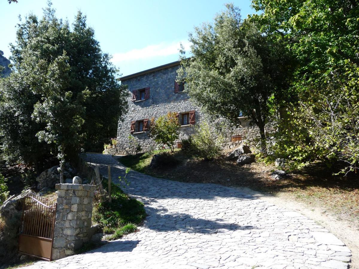 Chambre D'Hote "Chez Antoinette Et Charles" Santo-Pietro-di-Venaco Exteriör bild