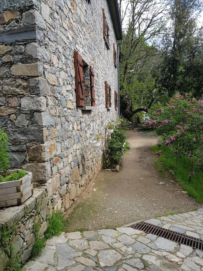 Chambre D'Hote "Chez Antoinette Et Charles" Santo-Pietro-di-Venaco Exteriör bild